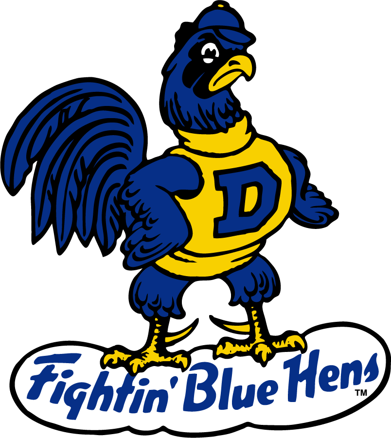 Delaware Blue Hens 1967-1986 Secondary Logo DIY iron on transfer (heat transfer)